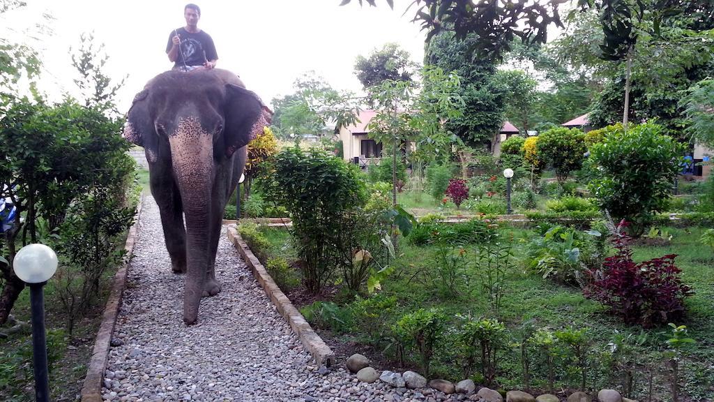 Chitwan Safari Camp & Lodge Саураха Екстер'єр фото