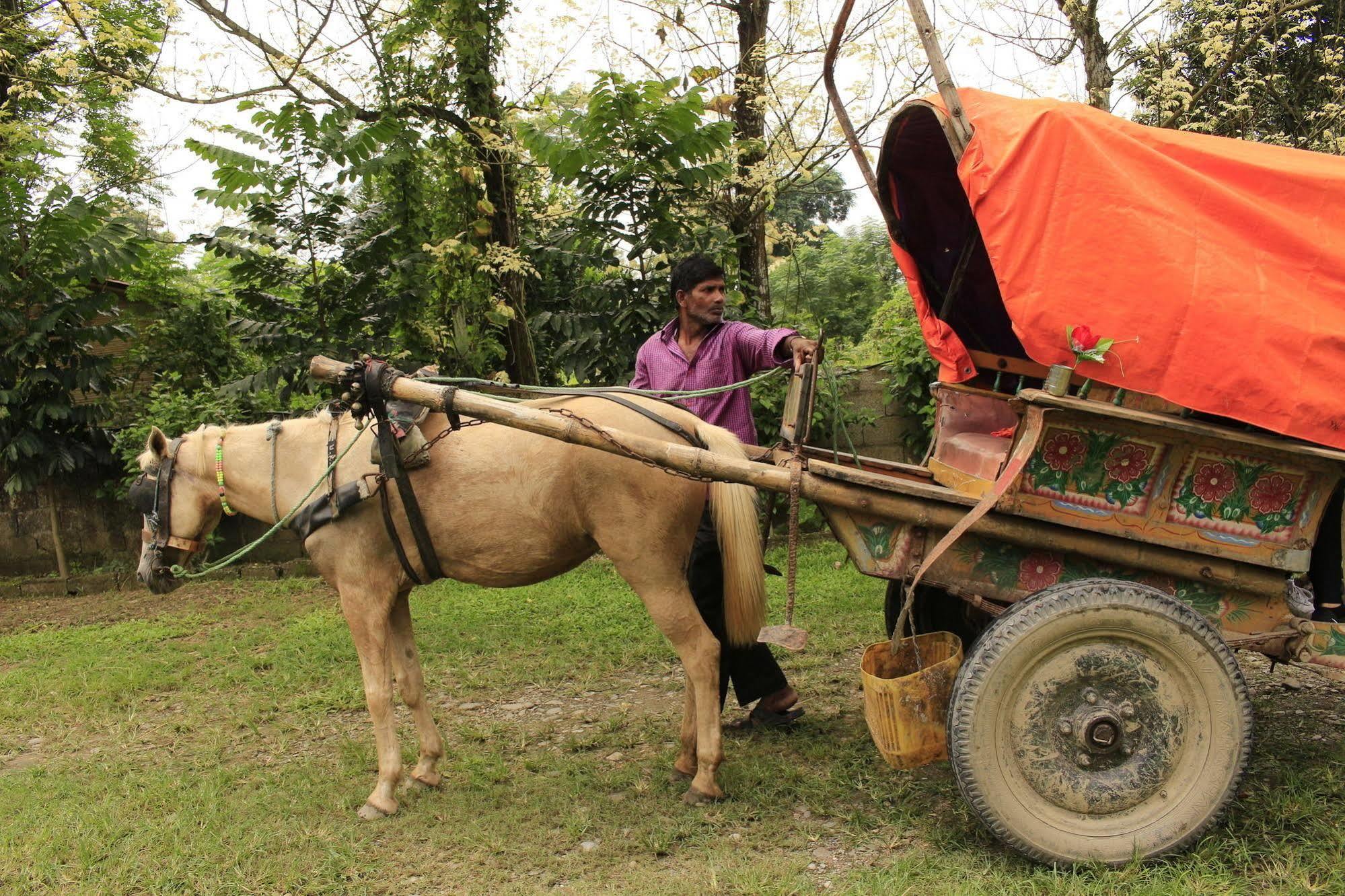 Chitwan Safari Camp & Lodge Саураха Екстер'єр фото