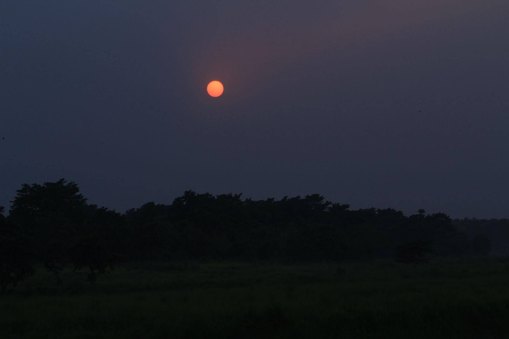 Chitwan Safari Camp & Lodge Саураха Екстер'єр фото