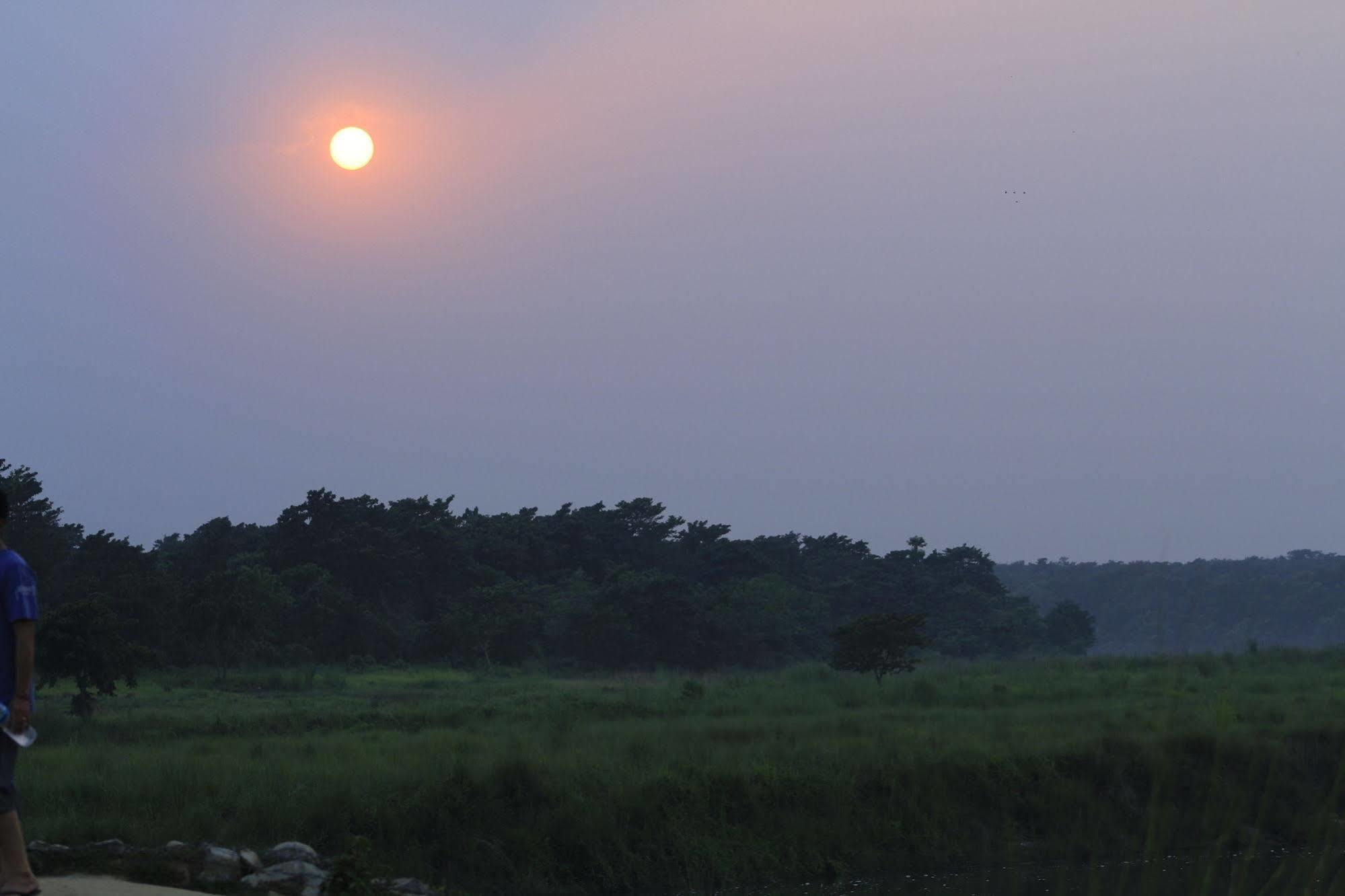 Chitwan Safari Camp & Lodge Саураха Екстер'єр фото