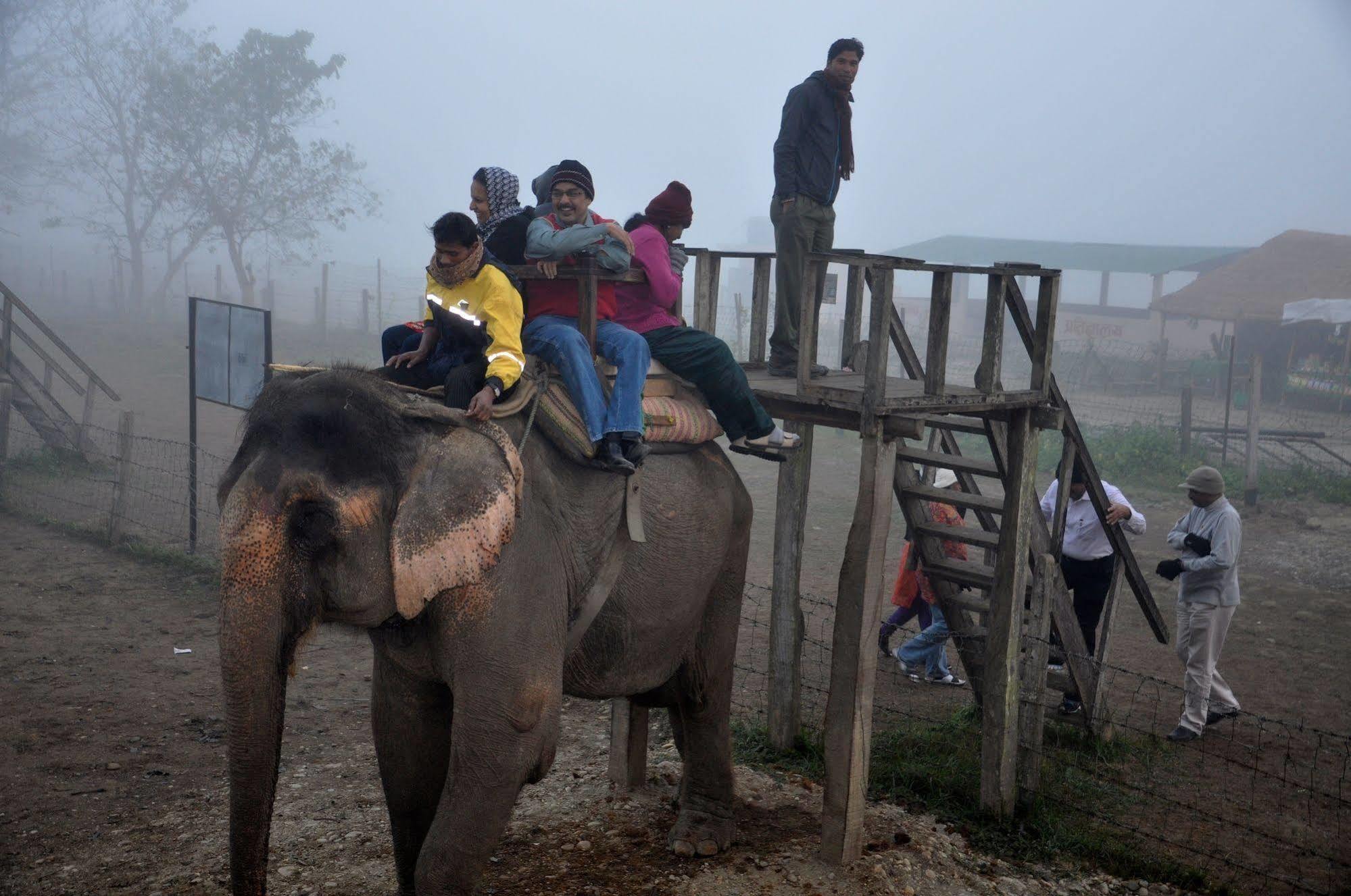 Chitwan Safari Camp & Lodge Саураха Екстер'єр фото